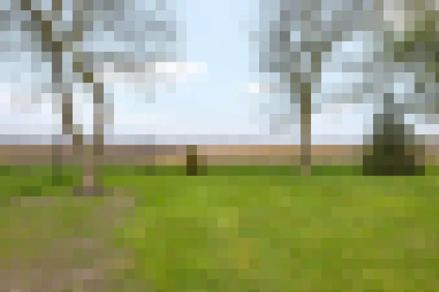 Zuiderdiep 288 2e Exloërmond thumbnail 42