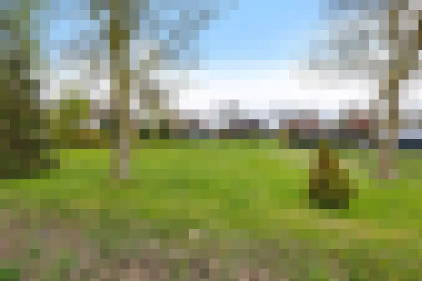 Zuiderdiep 288 2e Exloërmond thumbnail 45
