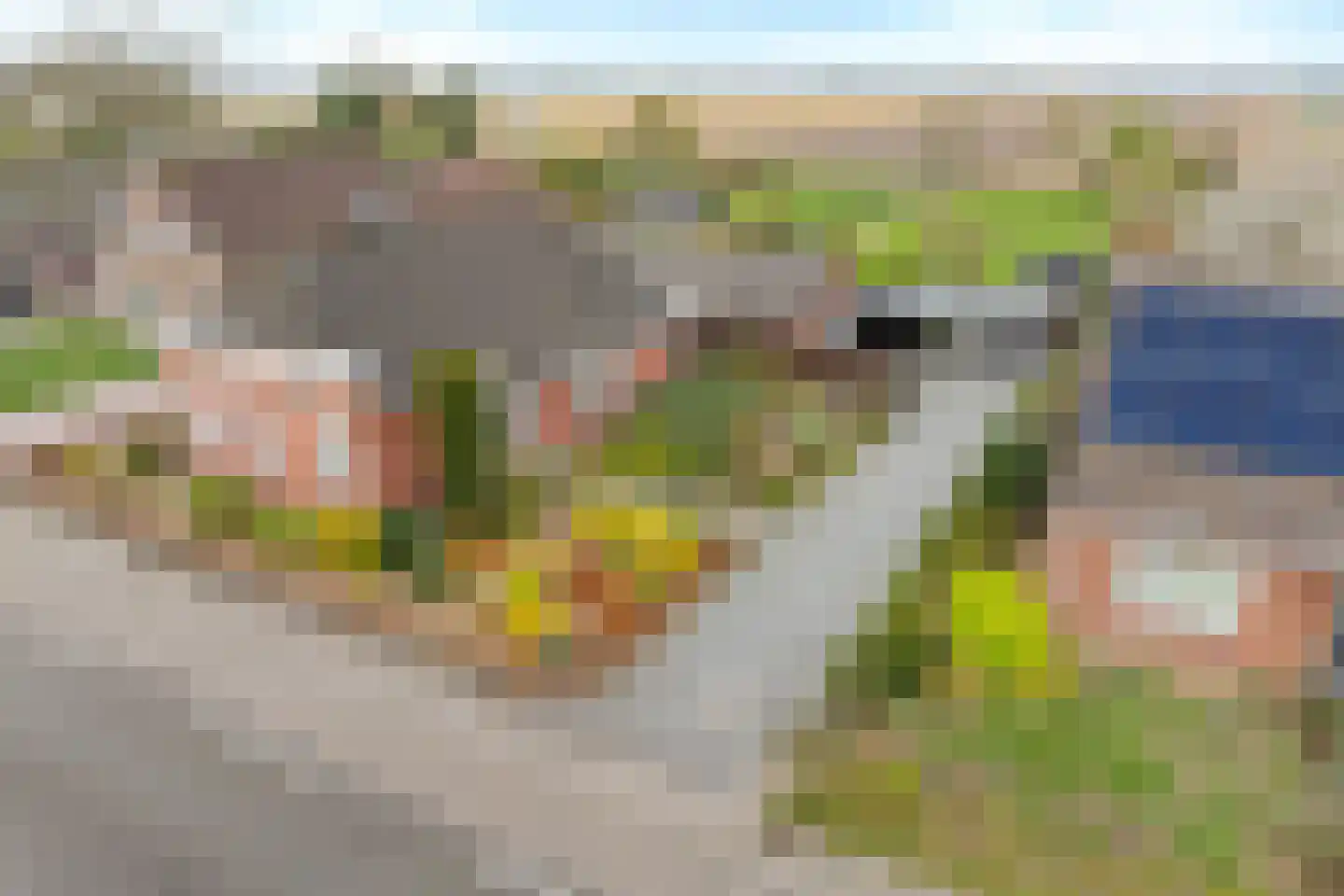 Zuiderdiep 288 2e Exloërmond thumbnail 51