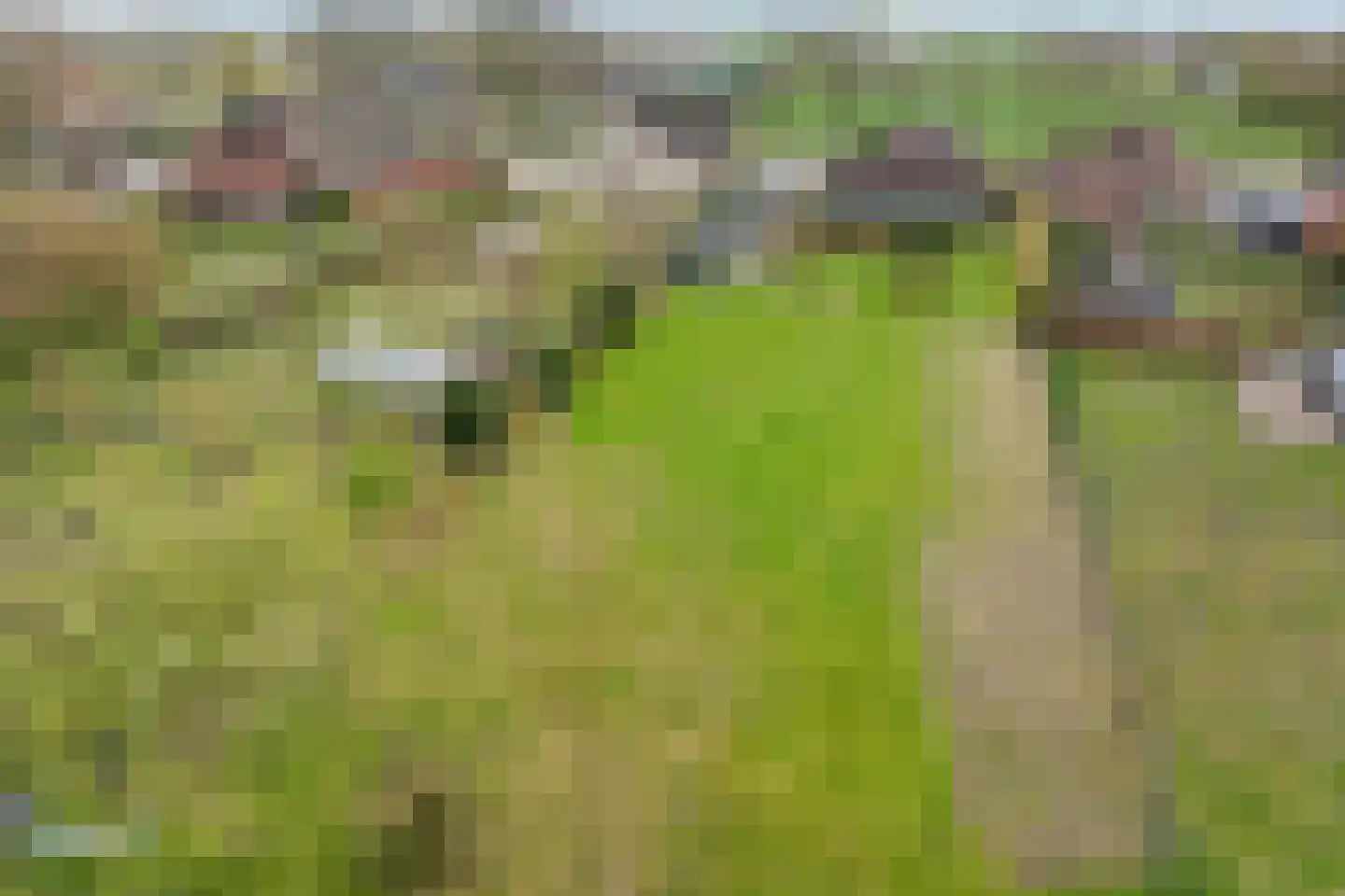 Zuiderdiep 288 2e Exloërmond thumbnail 53