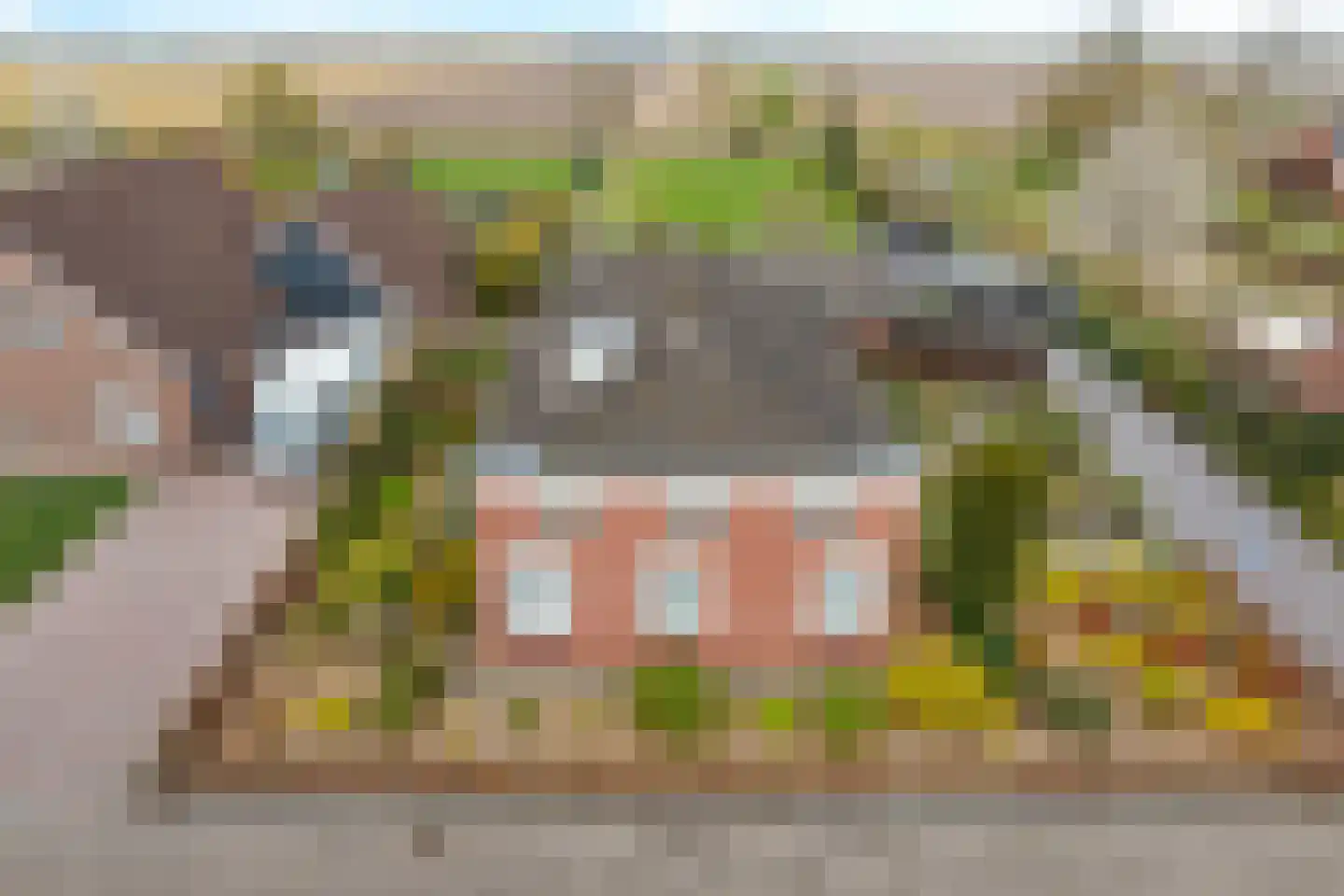 Zuiderdiep 288 2e Exloërmond thumbnail 55