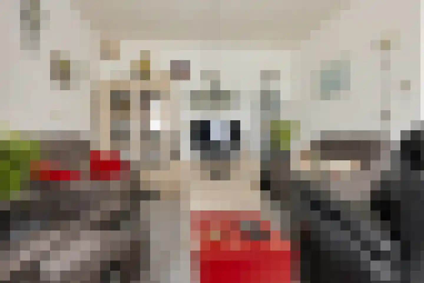 Zuiderdiep 288 2e Exloërmond thumbnail 9