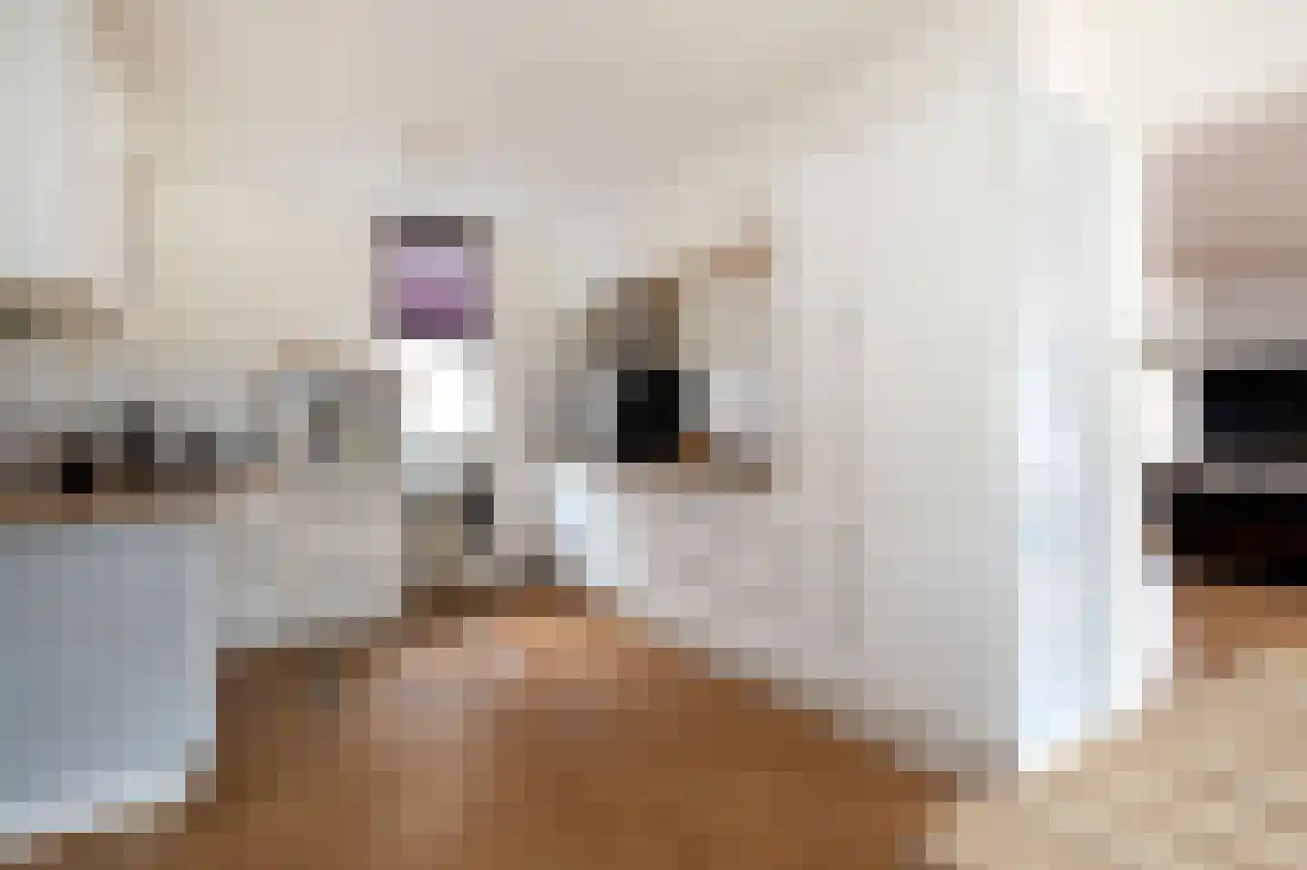 Zuiderdiep 3 2e Exloërmond thumbnail 12