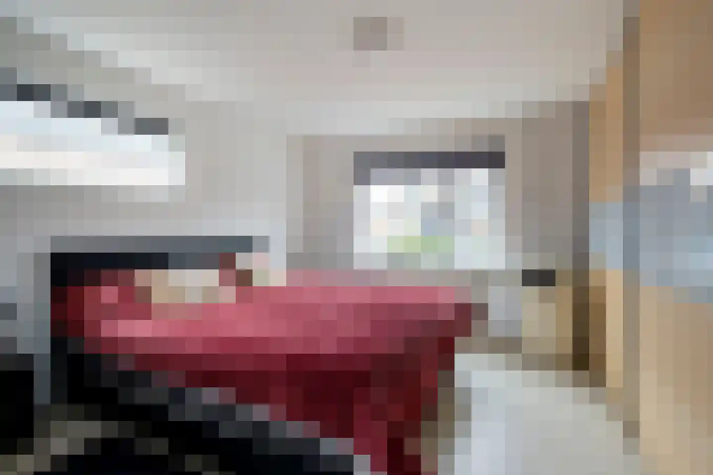 Zuiderdiep 3 2e Exloërmond thumbnail 17