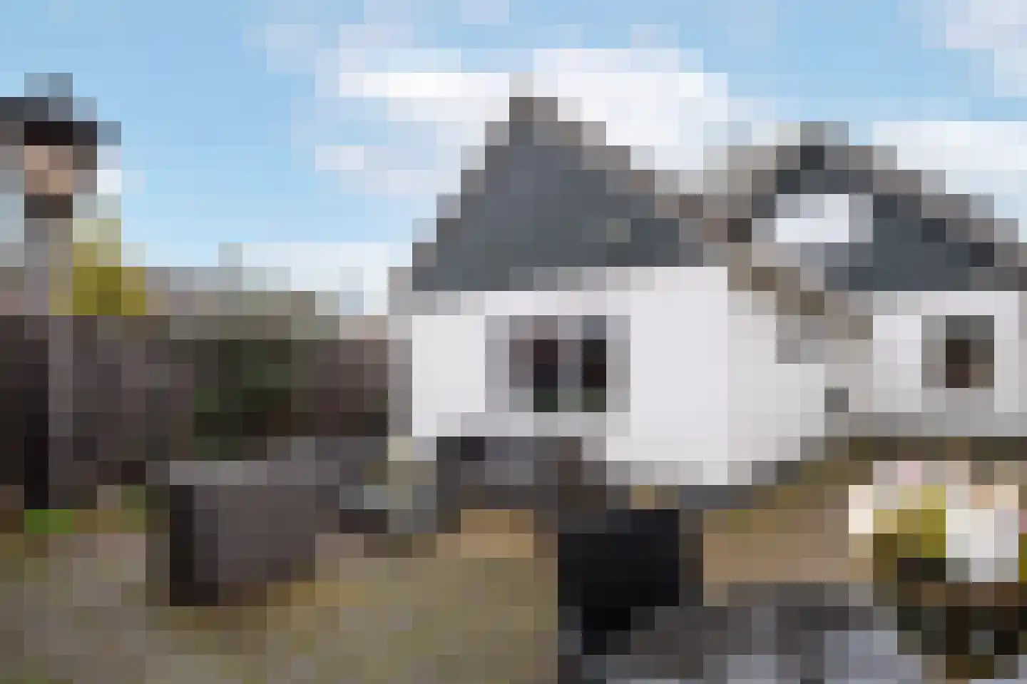 Zuiderdiep 3 2e Exloërmond thumbnail 23