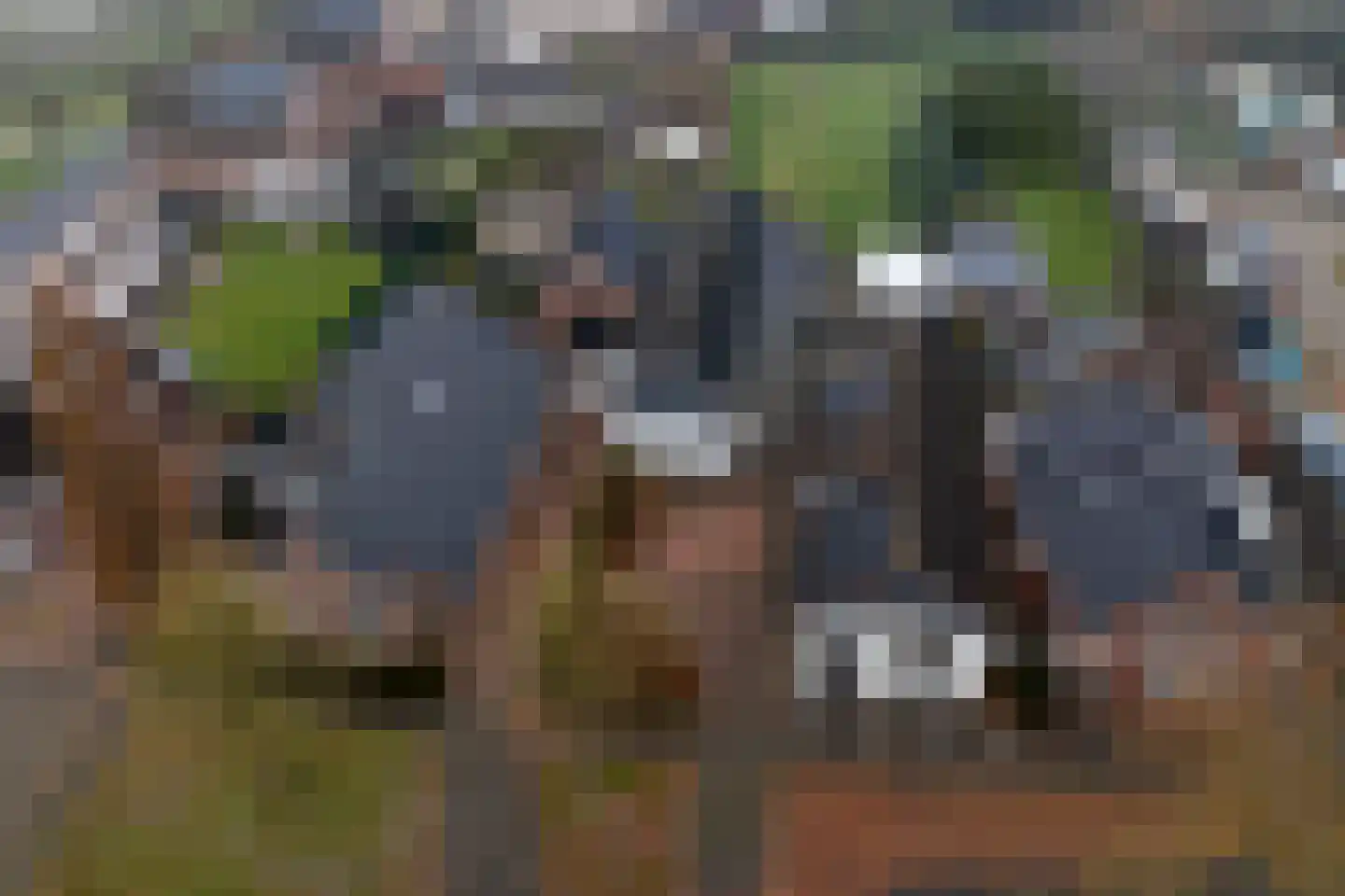 Zuiderdiep 3 2e Exloërmond thumbnail 32