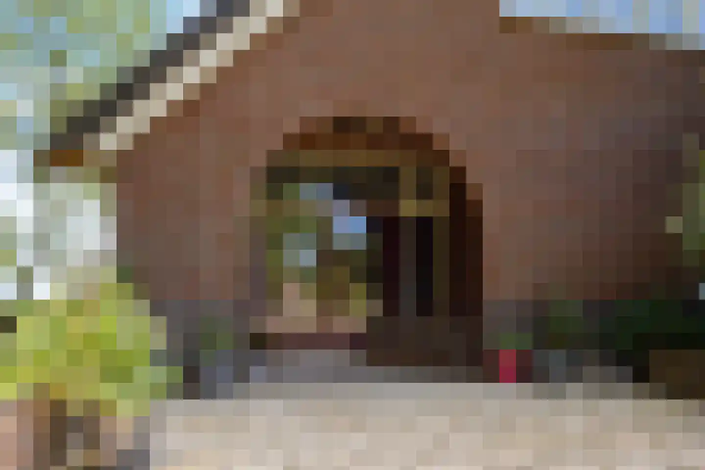 Zuiderdiep 309 Valthermond thumbnail 12