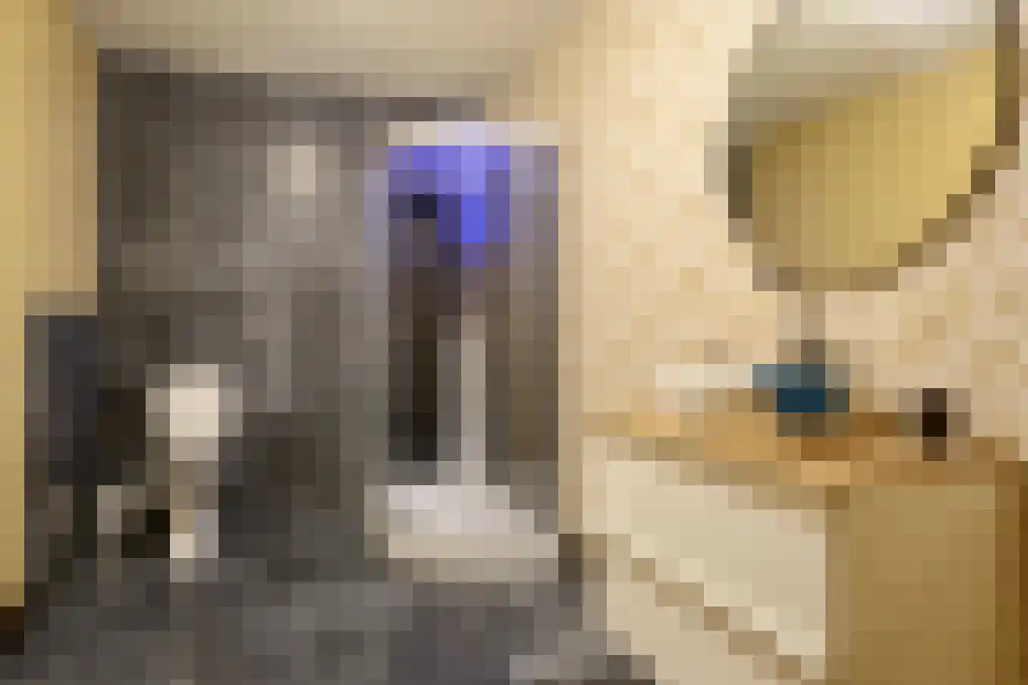 Zuiderdiep 309 Valthermond thumbnail 42