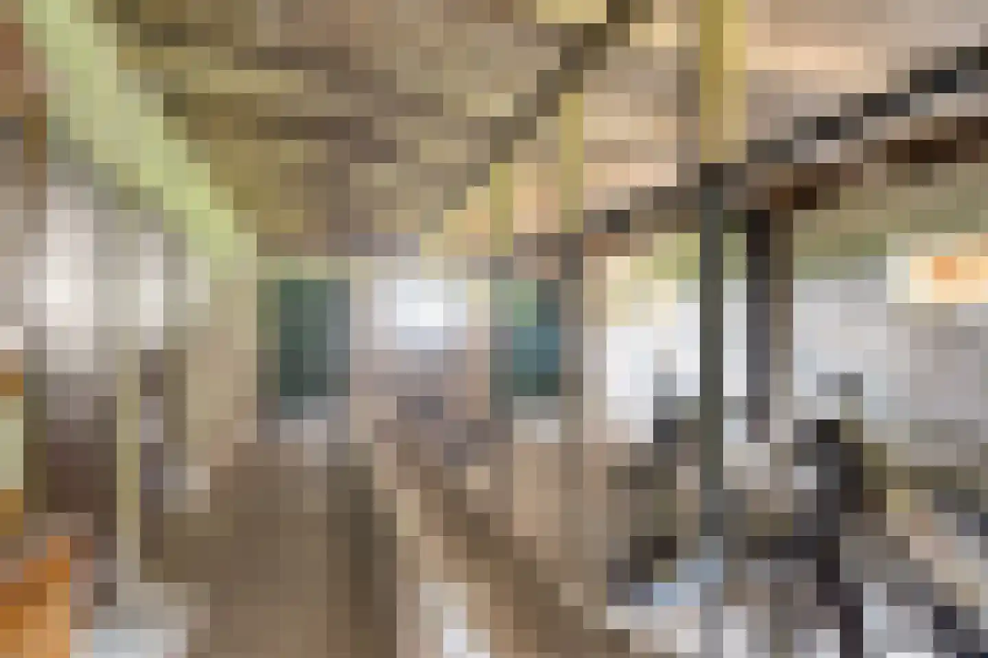 Zuiderdiep 309 Valthermond thumbnail 44
