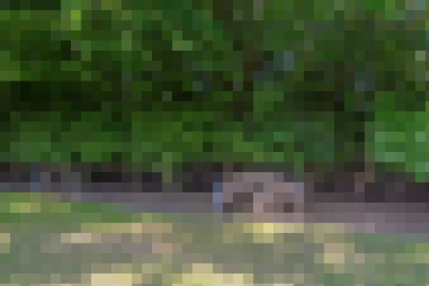 Zuiderdiep 309 Valthermond thumbnail 50