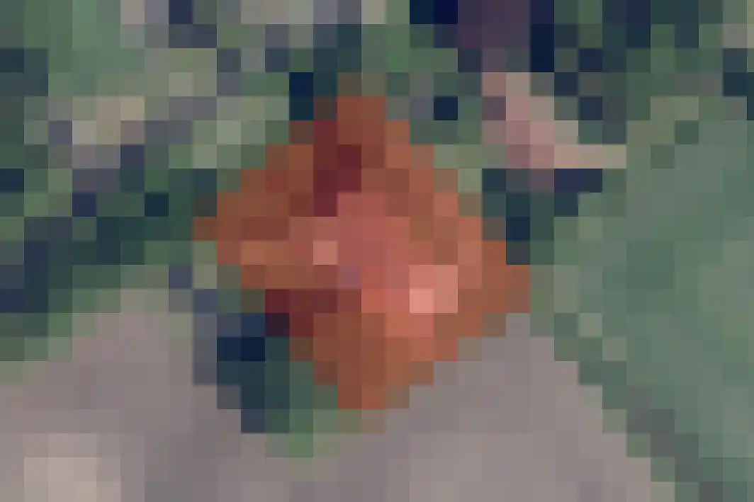 Zuiderdiep 309 Valthermond thumbnail 52