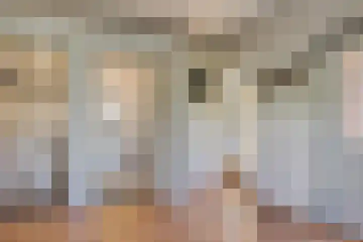 Zuiderdiep 313 Nieuw-Buinen thumbnail 10