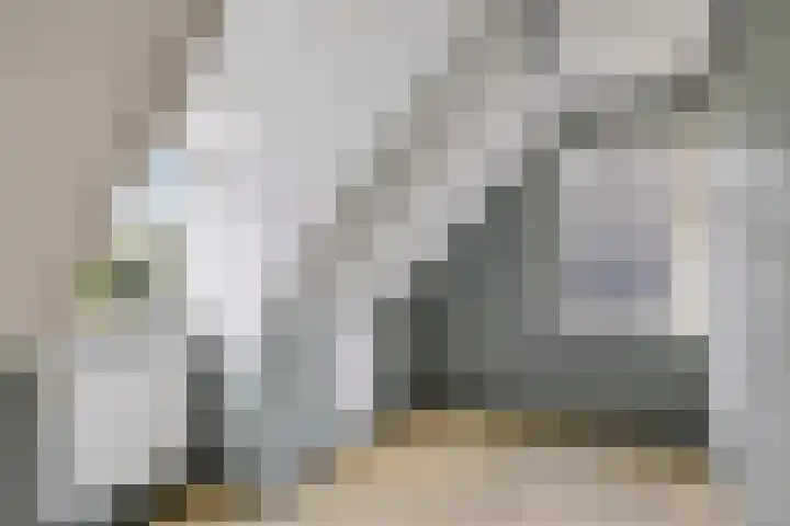 Zuiderdiep 313 Nieuw-Buinen thumbnail 14