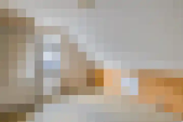 Zuiderdiep 313 Nieuw-Buinen thumbnail 15