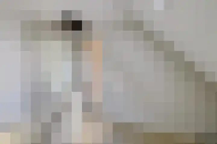 Zuiderdiep 313 Nieuw-Buinen thumbnail 16