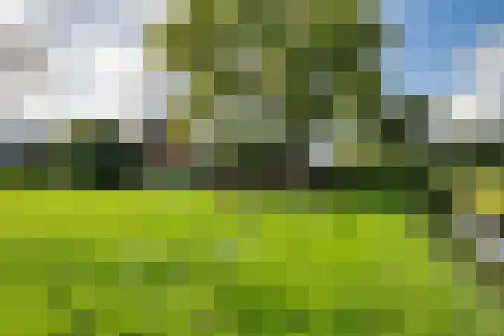Zuiderdiep 313 Nieuw-Buinen thumbnail 18