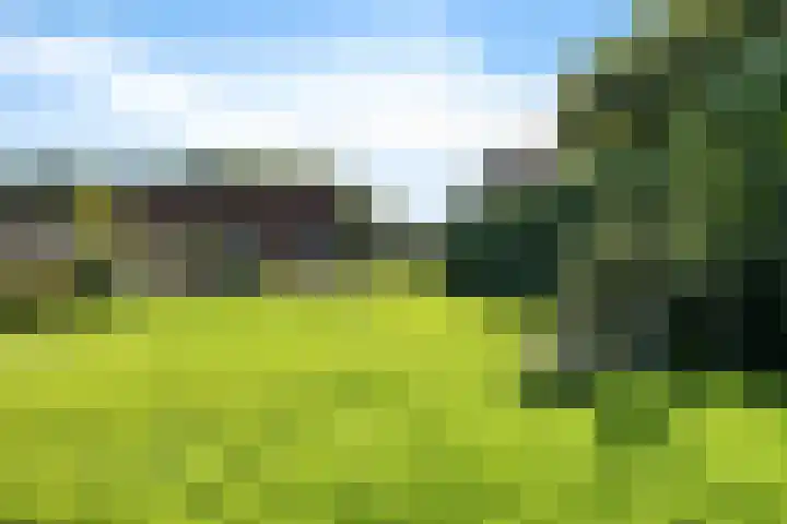 Zuiderdiep 313 Nieuw-Buinen thumbnail 19