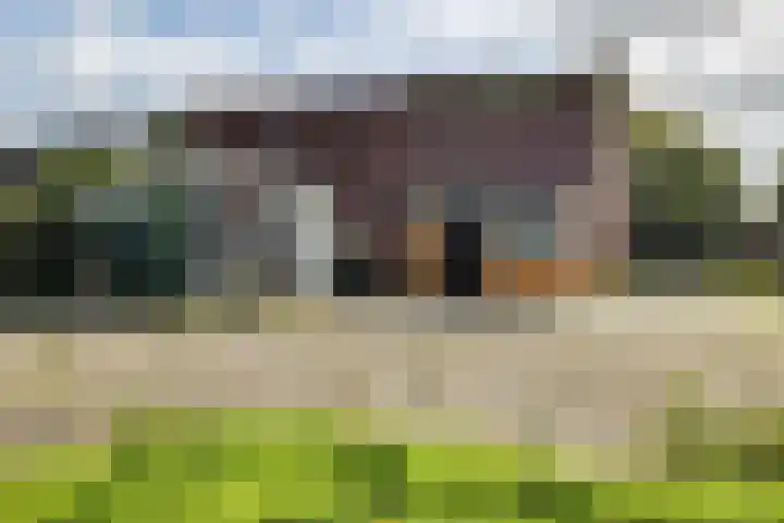 Zuiderdiep 313 Nieuw-Buinen thumbnail 20