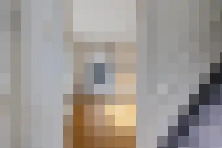 Zuiderdiep 313 Nieuw-Buinen thumbnail 4