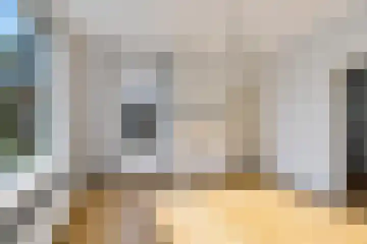 Zuiderdiep 313 Nieuw-Buinen thumbnail 5