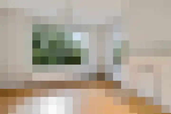 Zuiderdiep 313 Nieuw-Buinen thumbnail 6