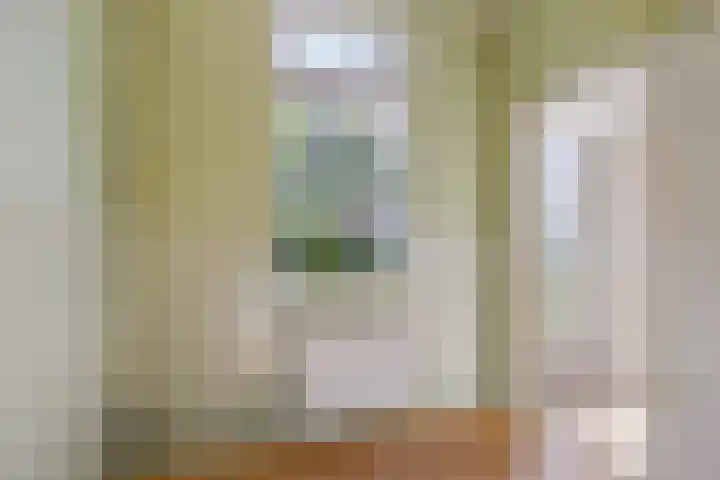 Zuiderdiep 313 Nieuw-Buinen thumbnail 8