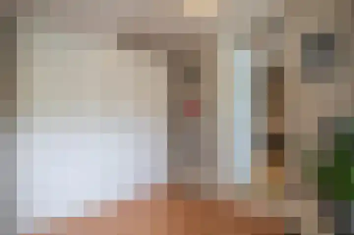 Zuiderdiep 323 Nieuw-Buinen thumbnail 11