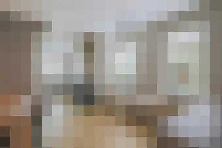 Zuiderdiep 323 Nieuw-Buinen thumbnail 12