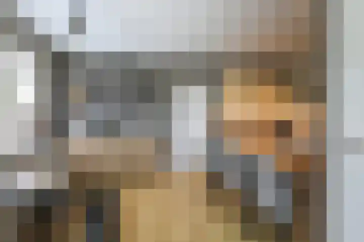 Zuiderdiep 323 Nieuw-Buinen thumbnail 17