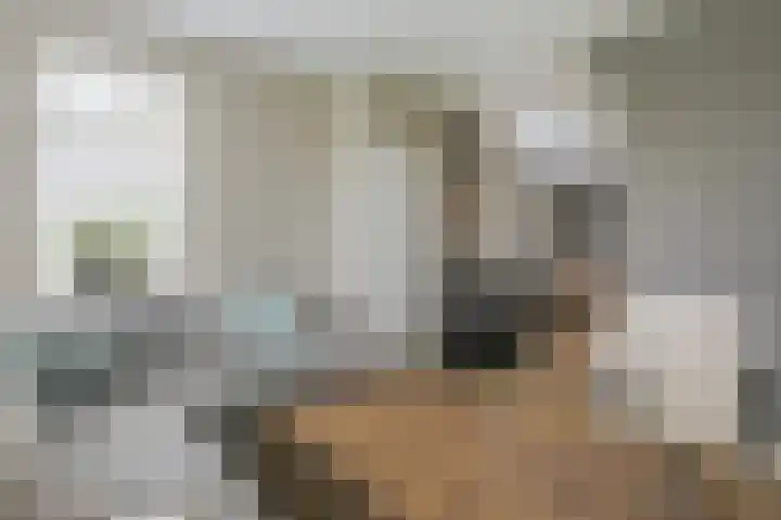 Zuiderdiep 323 Nieuw-Buinen thumbnail 19