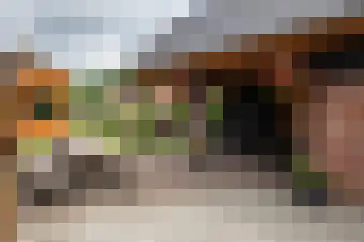 Zuiderdiep 323 Nieuw-Buinen thumbnail 29