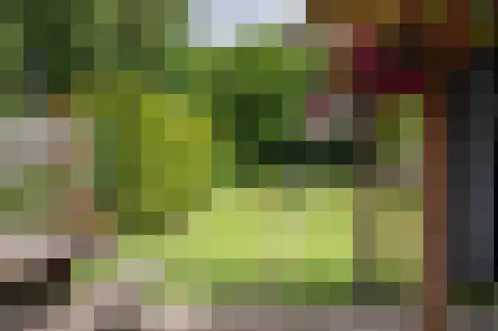 Zuiderdiep 323 Nieuw-Buinen thumbnail 30