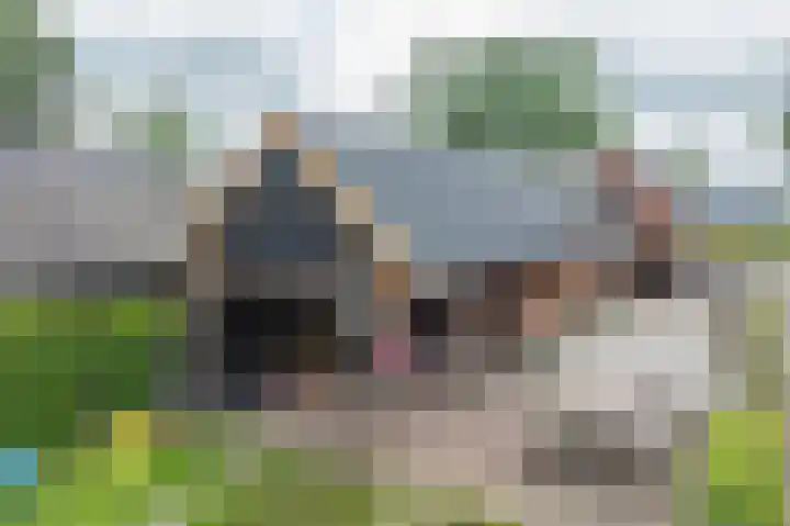 Zuiderdiep 323 Nieuw-Buinen thumbnail 31