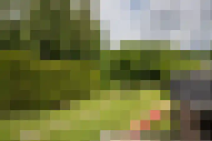 Zuiderdiep 323 Nieuw-Buinen thumbnail 32