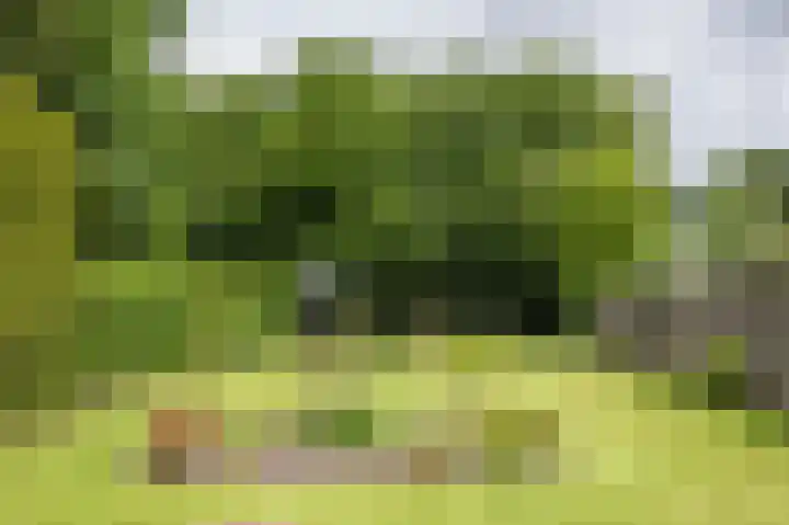 Zuiderdiep 323 Nieuw-Buinen thumbnail 33