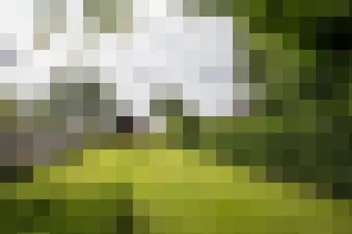Zuiderdiep 323 Nieuw-Buinen thumbnail 34