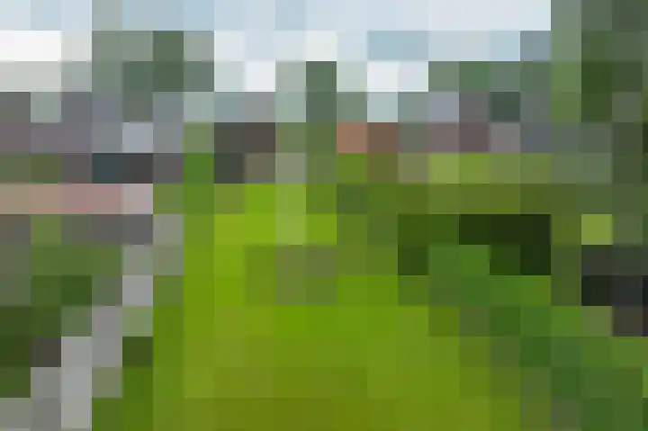 Zuiderdiep 323 Nieuw-Buinen thumbnail 35