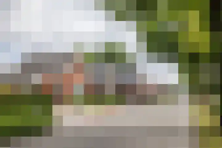 Zuiderdiep 323 Nieuw-Buinen thumbnail 5