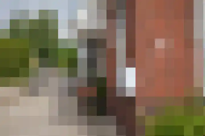 Zuiderdiep 323 Nieuw-Buinen thumbnail 8