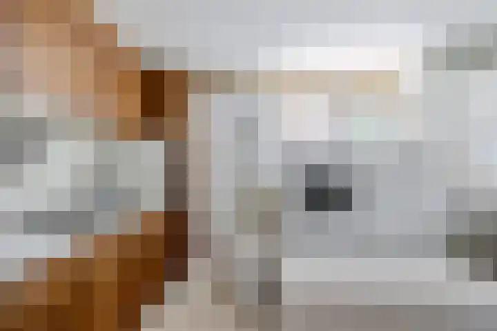 Zuiderdiep 333 2e Exloërmond thumbnail 23