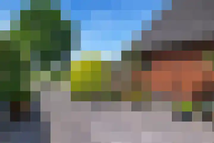 Zuiderdiep 333 2e Exloërmond thumbnail 30
