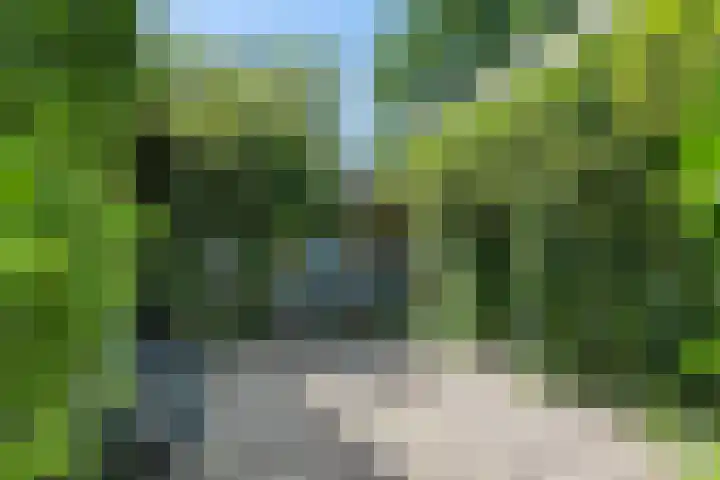 Zuiderdiep 333 2e Exloërmond thumbnail 31