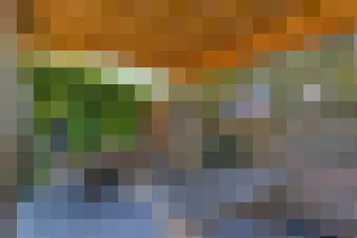 Zuiderdiep 333 2e Exloërmond thumbnail 32