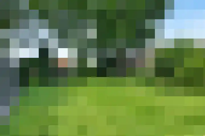 Zuiderdiep 333 2e Exloërmond thumbnail 33