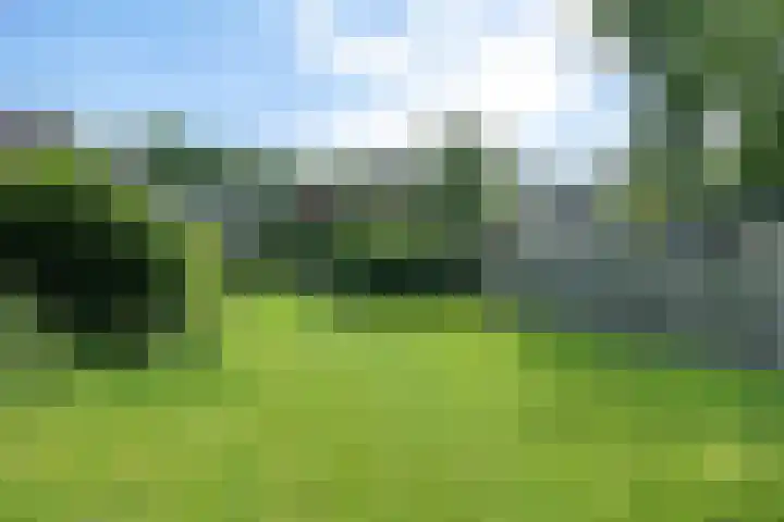 Zuiderdiep 333 2e Exloërmond thumbnail 34