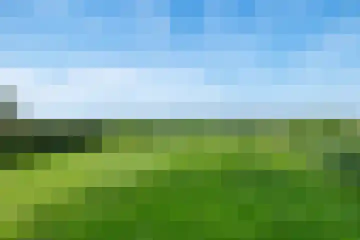 Zuiderdiep 333 2e Exloërmond thumbnail 35