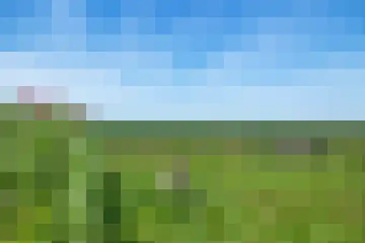 Zuiderdiep 333 2e Exloërmond thumbnail 36