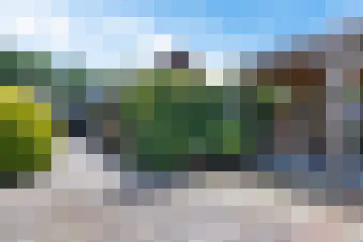 Zuiderdiep 333 2e Exloërmond thumbnail 37