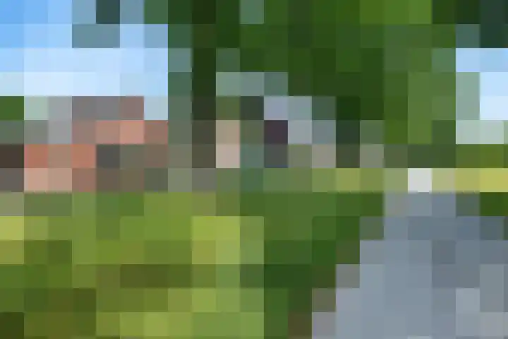 Zuiderdiep 333 2e Exloërmond thumbnail 5