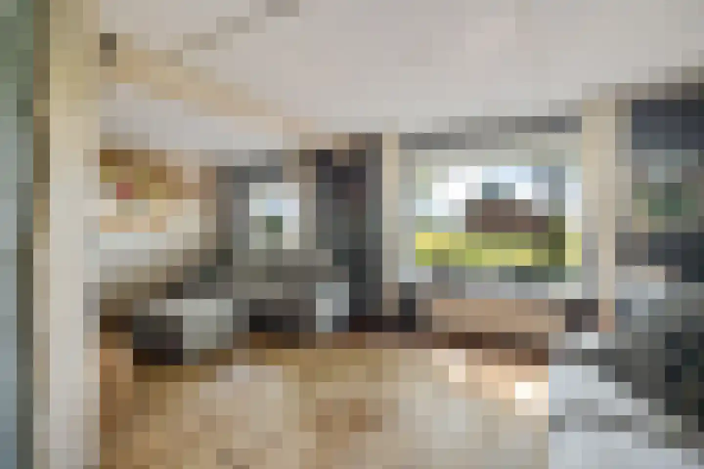 Zuiderdiep 343 Valthermond thumbnail 10